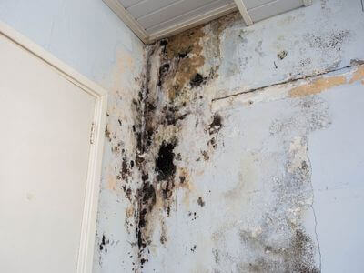 About ShieldHaven - water damage restoration experts in Chula Vista